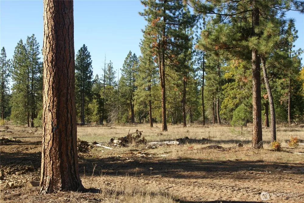 8 Ginger Way Goldendale, WA 98620