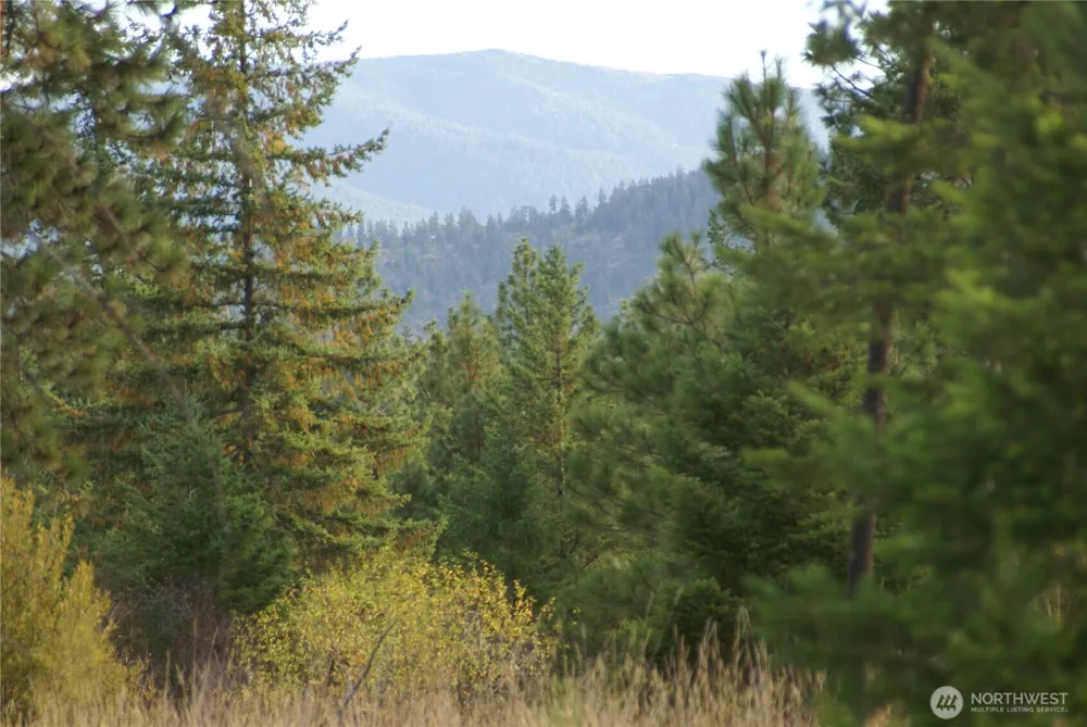 8 Ginger Way Goldendale, WA 98620