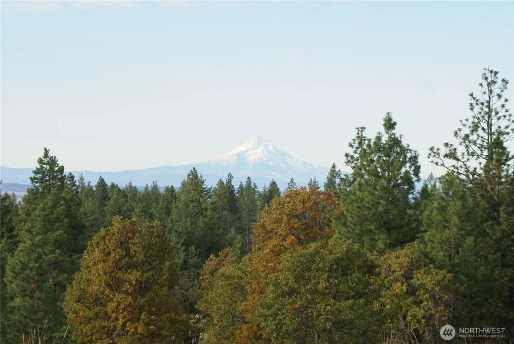 8 Ginger Way Goldendale, WA 98620