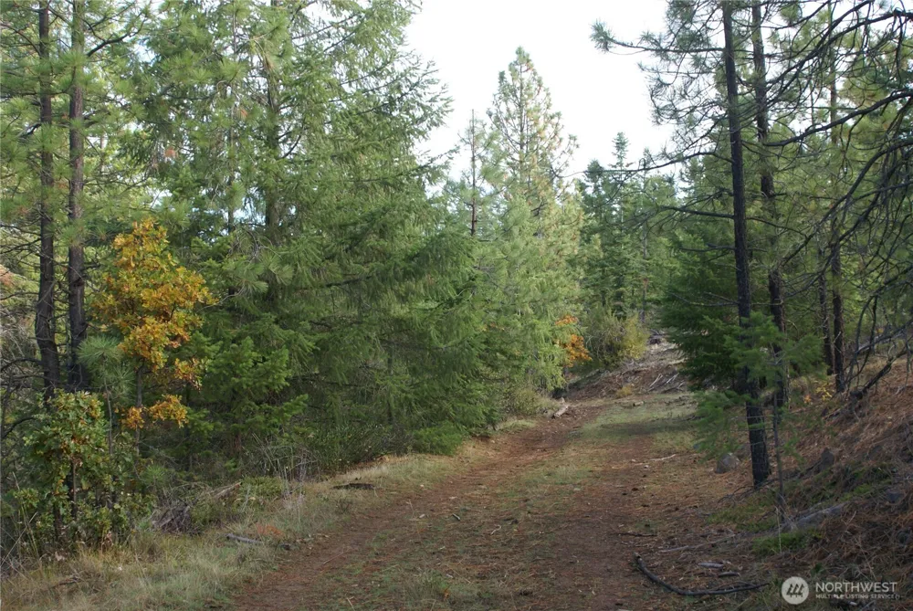 8 Ginger Way Goldendale, WA 98620