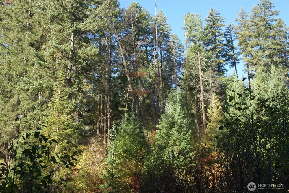 8 Ginger Way Goldendale, WA 98620
