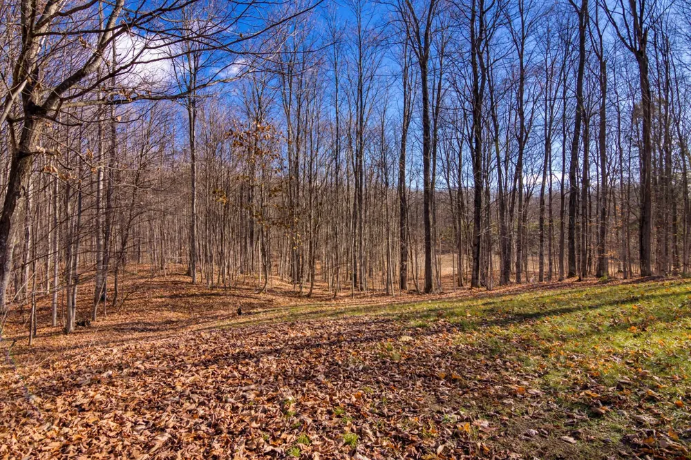 5877 E Lake Five Lane Excelsior Township, MI 49646