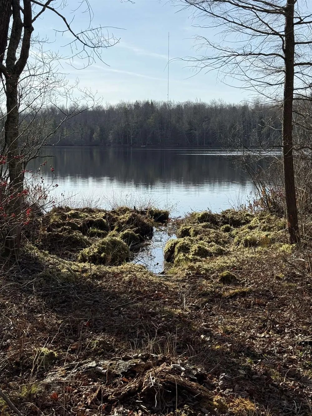 5877 E Lake Five Lane Excelsior Township, MI 49646