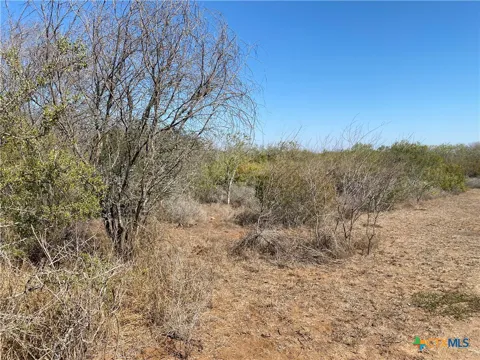 CR 3081