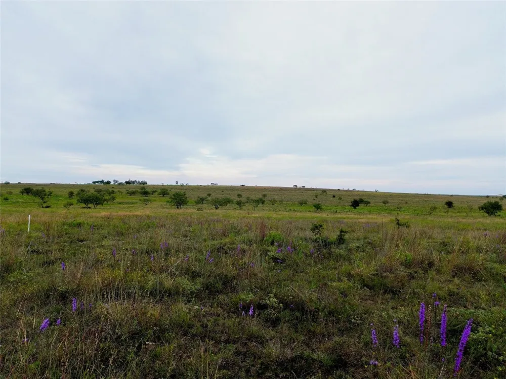 6988 CR 2109 Lometa, TX 76853