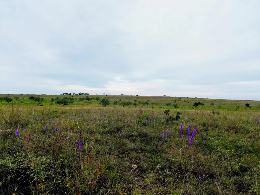 6988 CR 2109 Lometa, TX 76853