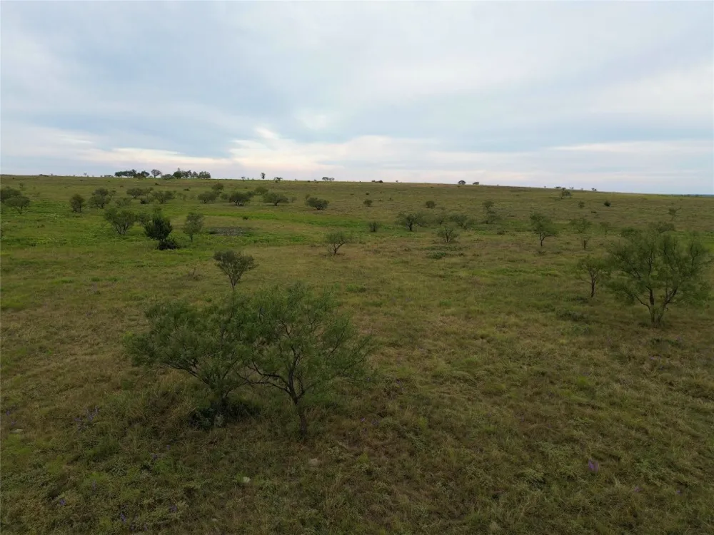 6988 CR 2109 Lometa, TX 76853