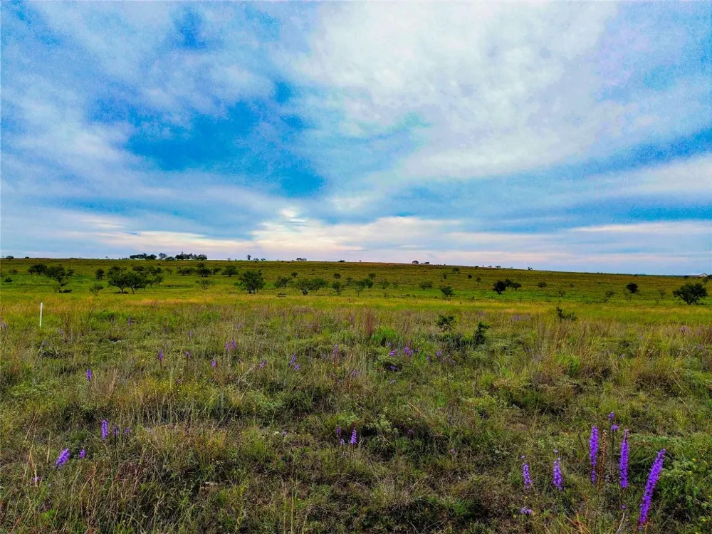 6988 CR 2109 Lometa, TX 76853