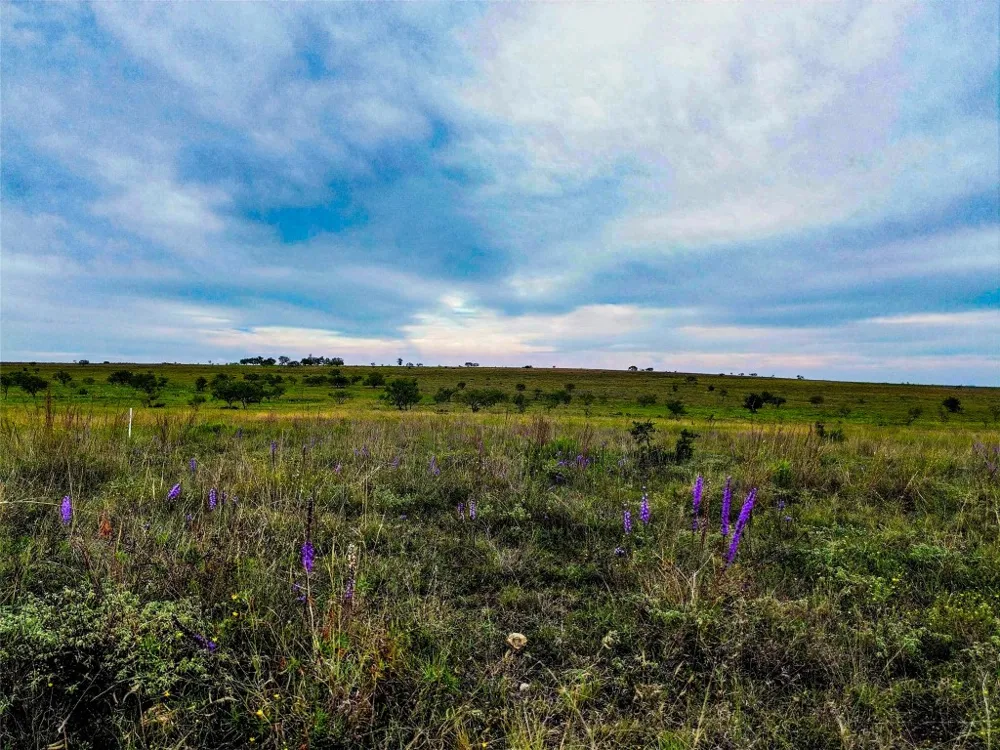 6988 CR 2109 Lometa, TX 76853