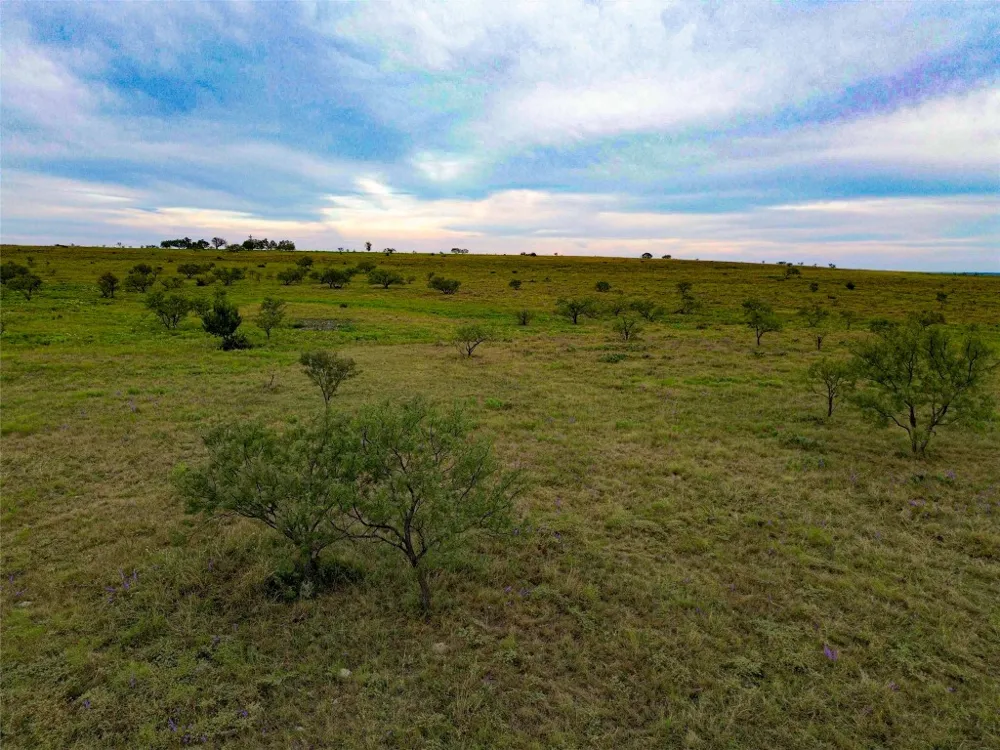 6988 CR 2109 Lometa, TX 76853