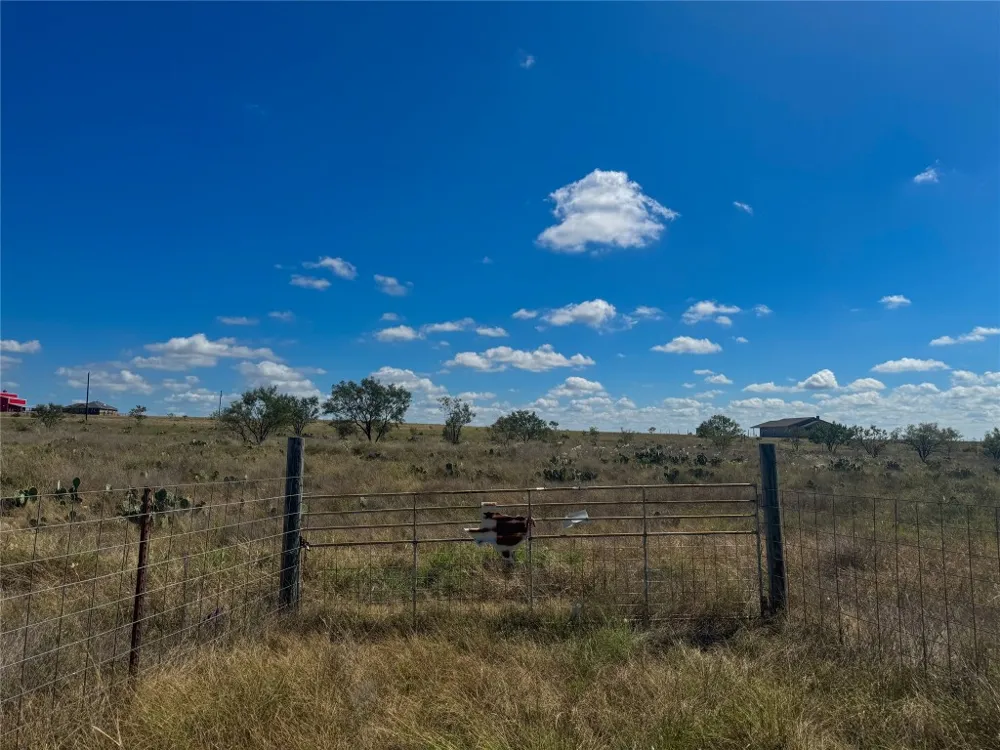 6988 CR 2109 Lometa, TX 76853
