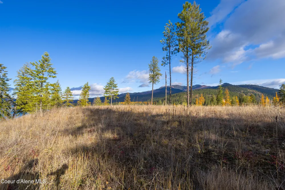 NNA Woodchuck Dr, Lot 15 Priest River, ID 83856