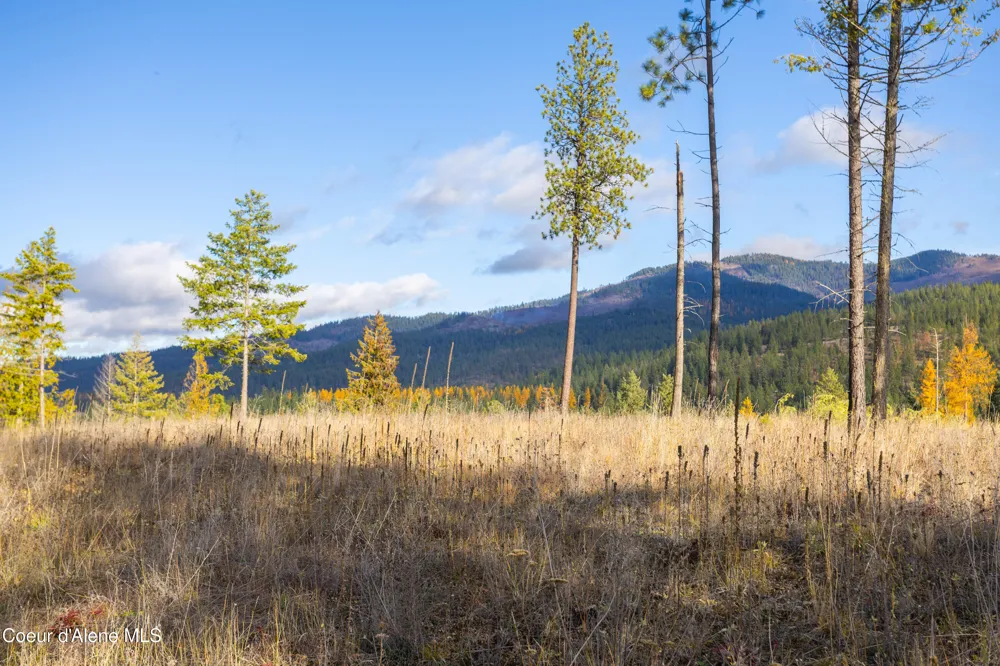 NNA Woodchuck Dr, Lot 15 Priest River, ID 83856