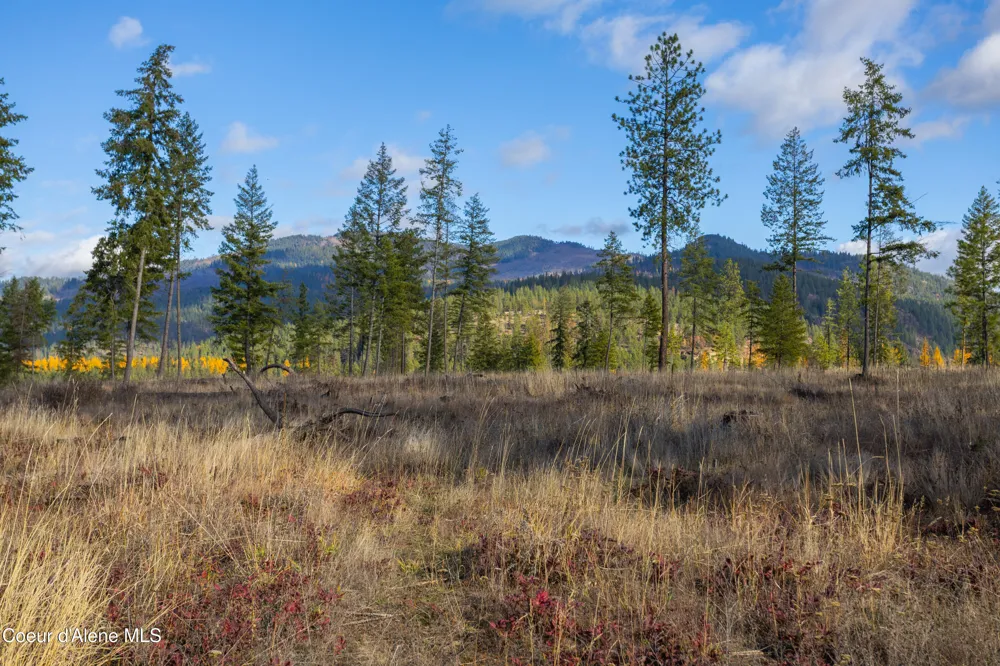 NNA Woodchuck Dr, Lot 15 Priest River, ID 83856