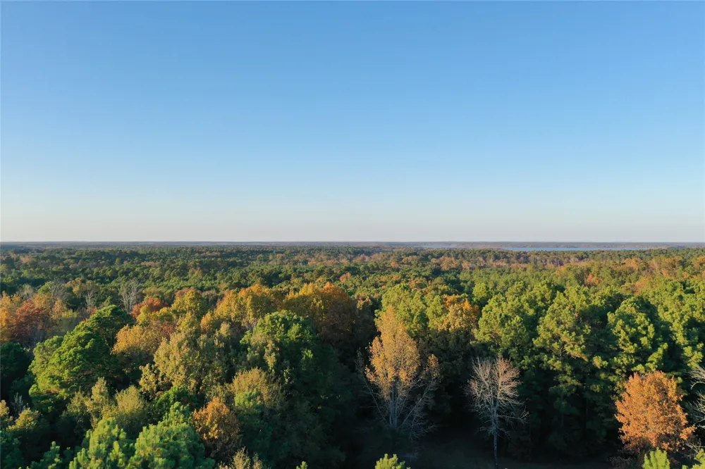 Co Rd 2117 Douglassville, TX 75560