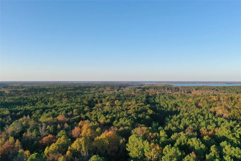 Co Rd 2117 Douglassville, TX 75560