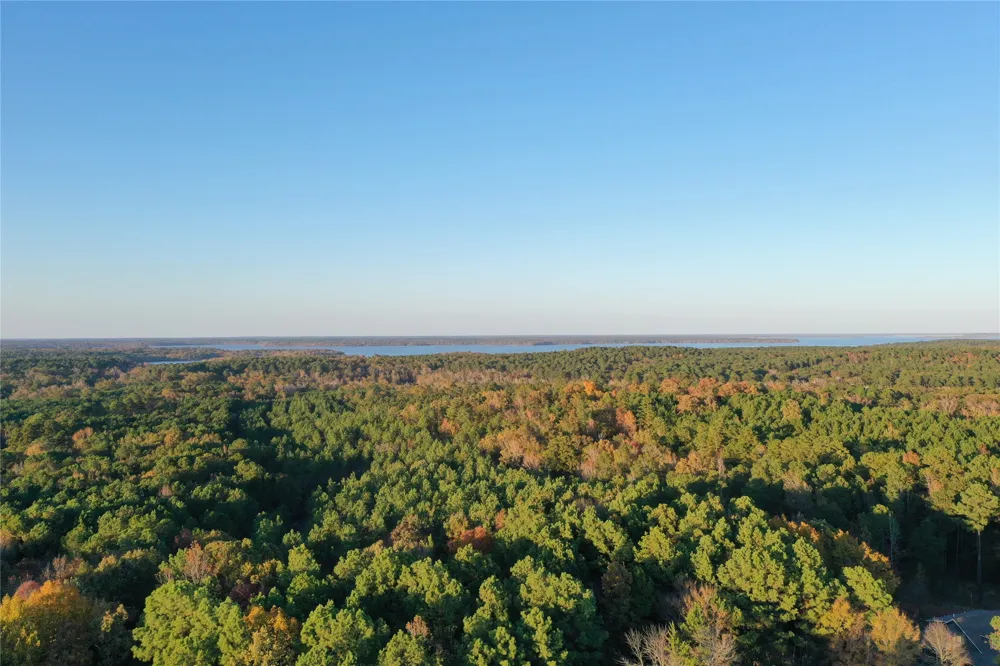 Co Rd 2117 Douglassville, TX 75560