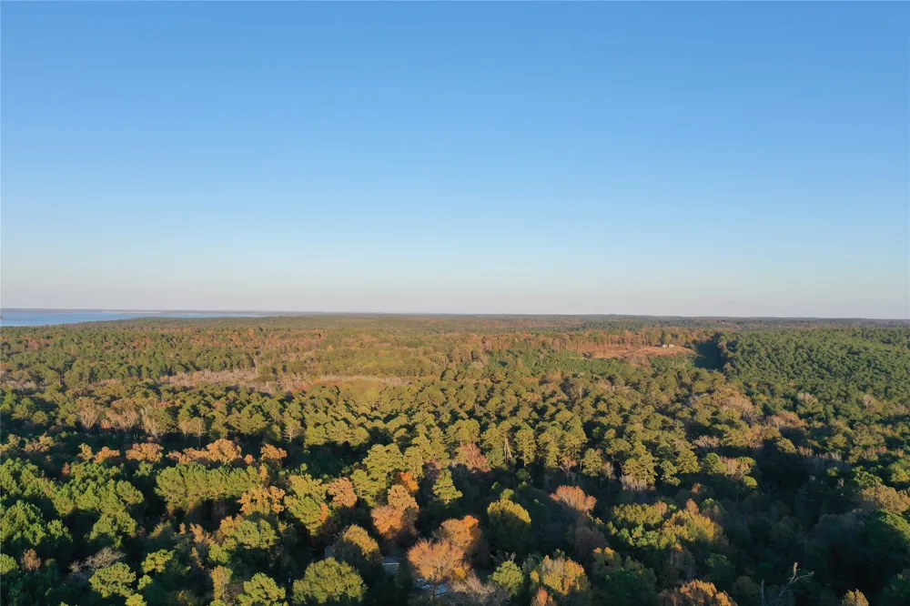 Co Rd 2117 Douglassville, TX 75560