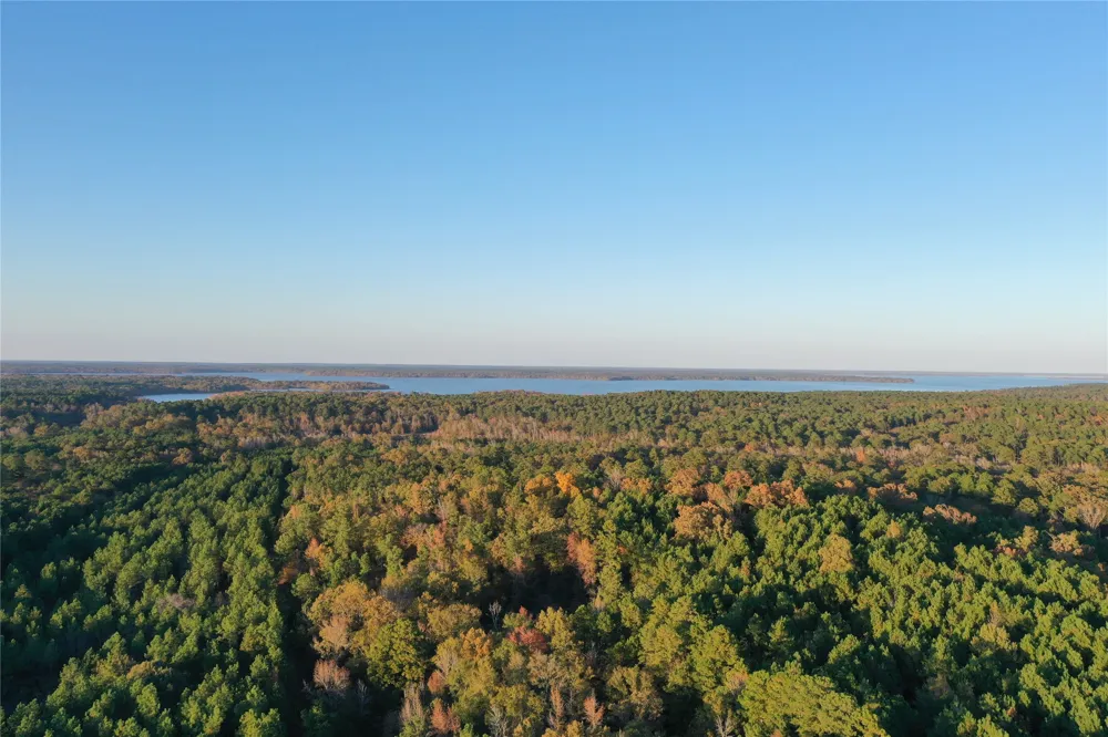 Co Rd 2117 Douglassville, TX 75560