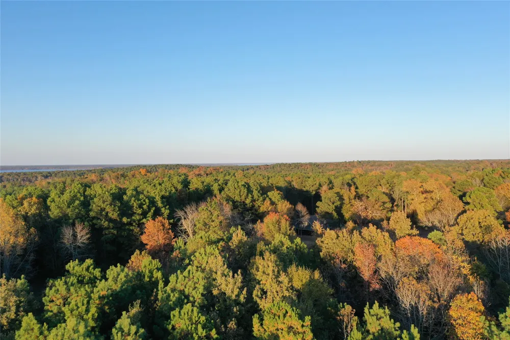 Co Rd 2117 Douglassville, TX 75560