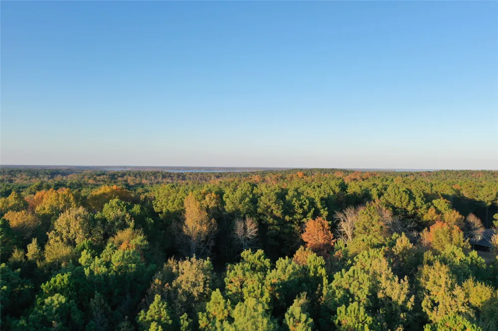 Co Rd 2117 Douglassville, TX 75560