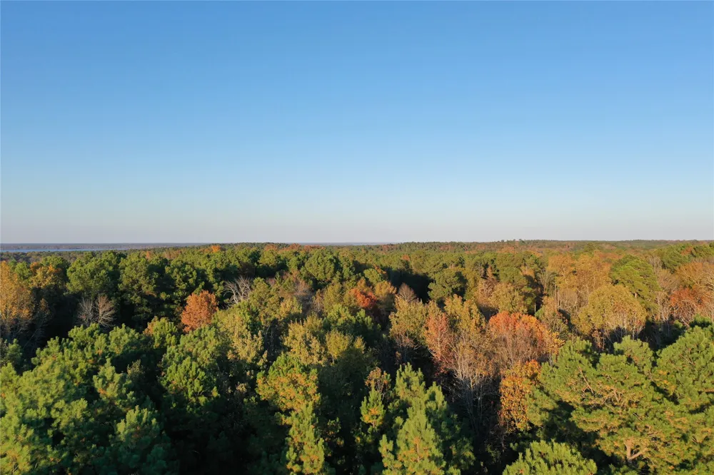 Co Rd 2117 Douglassville, TX 75560