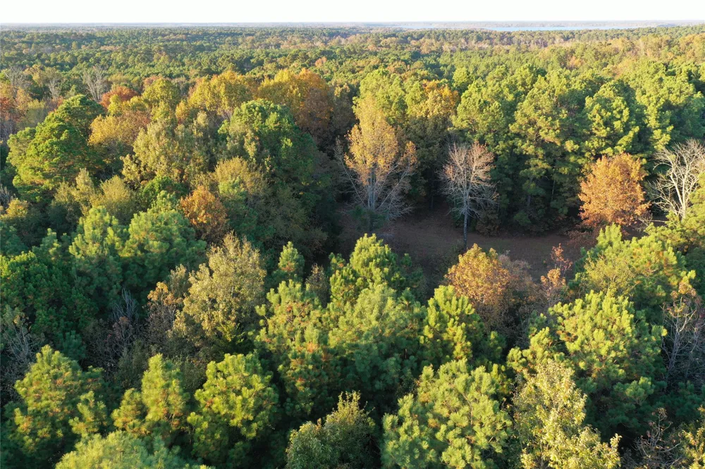 Co Rd 2117 Douglassville, TX 75560