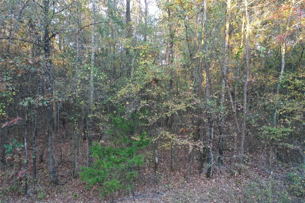 Co Rd 2117 Douglassville, TX 75560