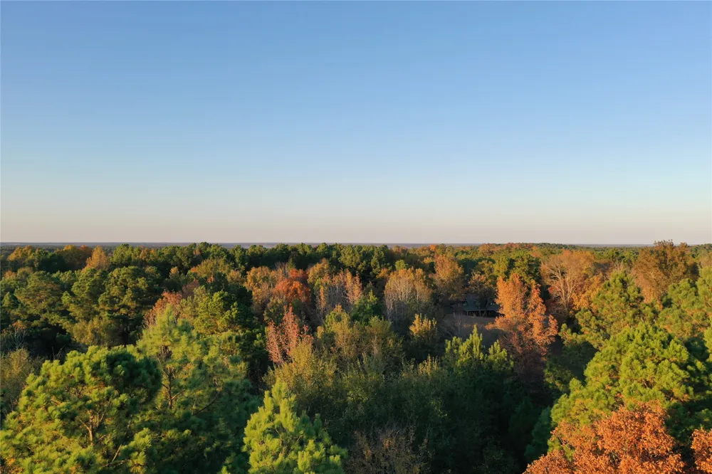 Co Rd 2117 Douglassville, TX 75560