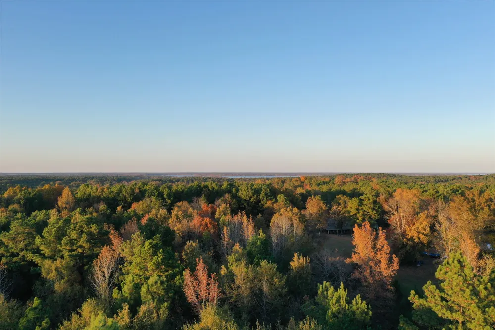 Co Rd 2117 Douglassville, TX 75560