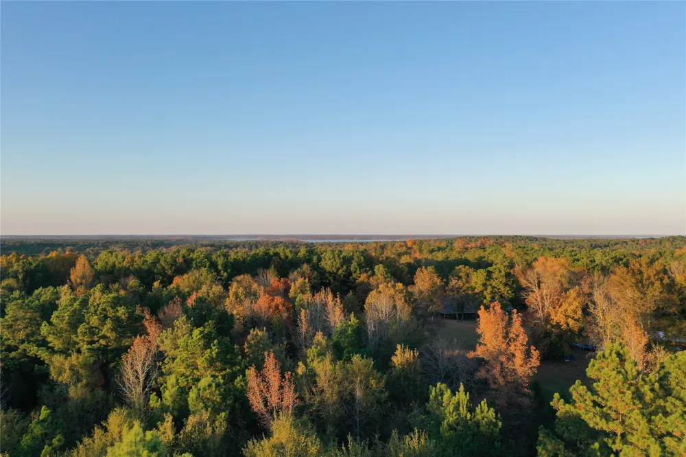 Co Rd 2117 Douglassville, TX 75560