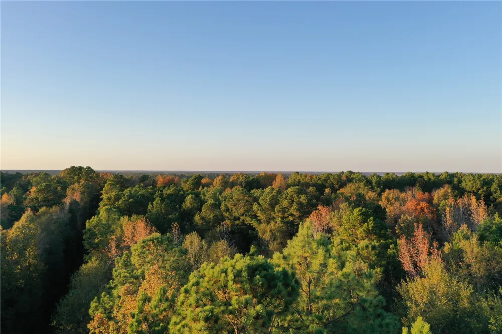 Co Rd 2117 Douglassville, TX 75560