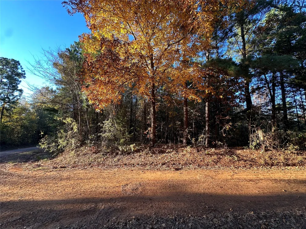 Co Rd 2117 Douglassville, TX 75560
