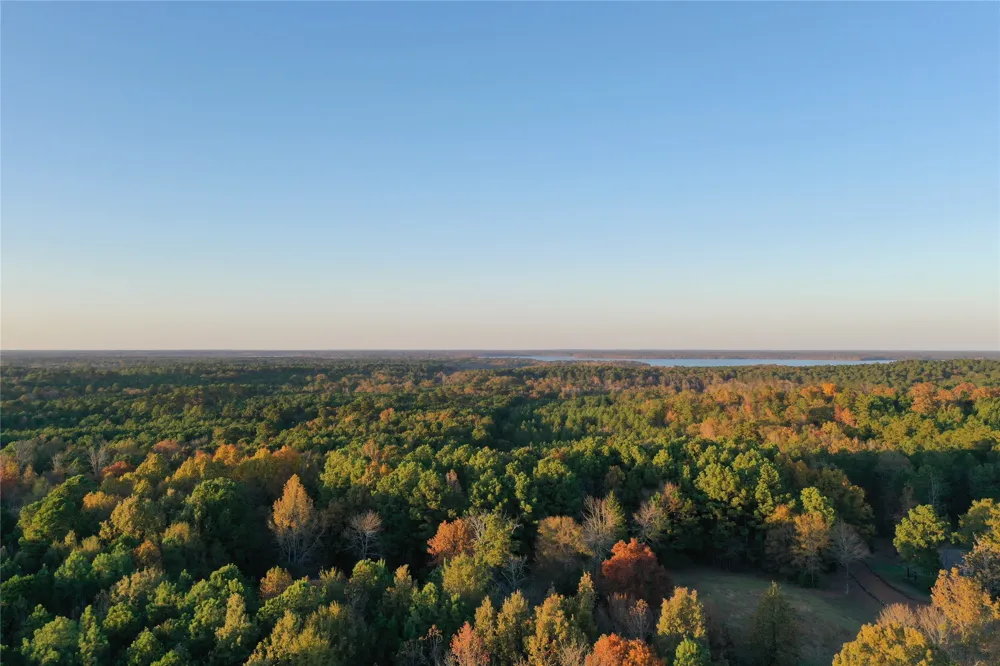 Co Rd 2117 Douglassville, TX 75560
