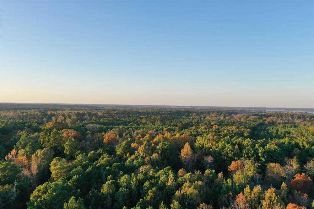 Co Rd 2117 Douglassville, TX 75560