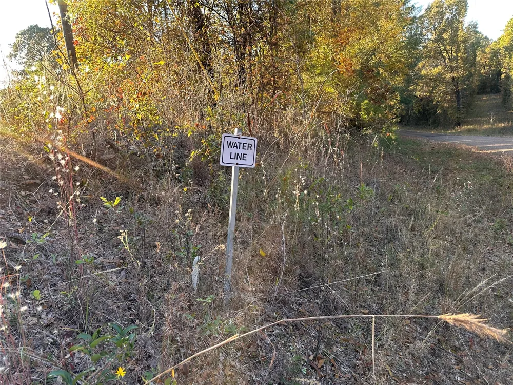 Co Rd 2117 Douglassville, TX 75560