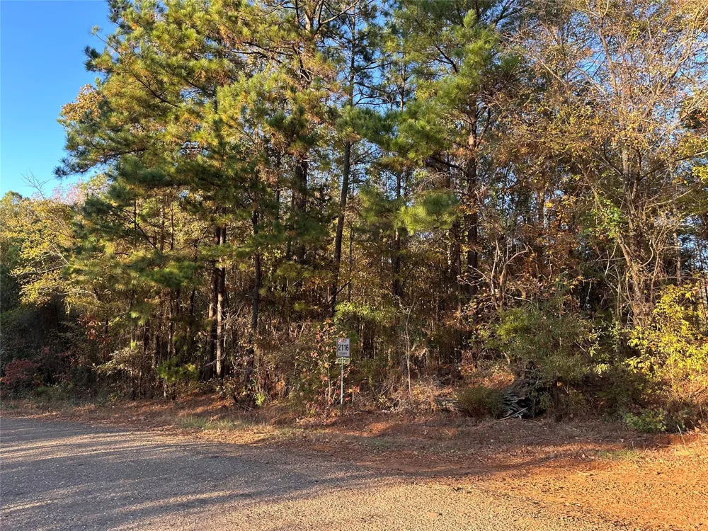 Co Rd 2117 Douglassville, TX 75560