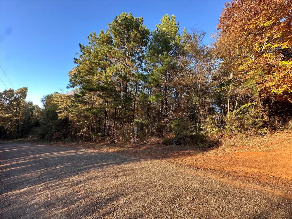 Co Rd 2117 Douglassville, TX 75560