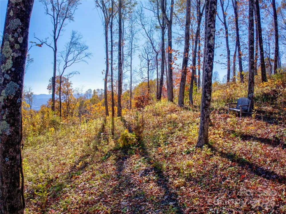 7 Laurel Ledge Way #13 Fletcher, NC 28732