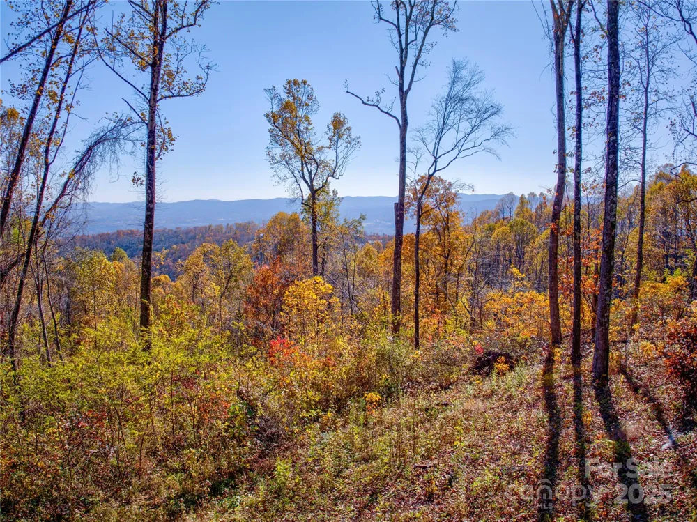 7 Laurel Ledge Way #13 Fletcher, NC 28732