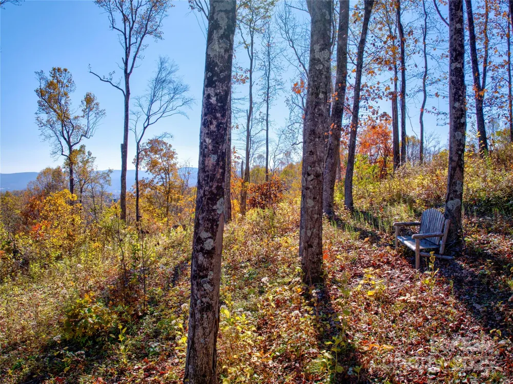 7 Laurel Ledge Way #13 Fletcher, NC 28732