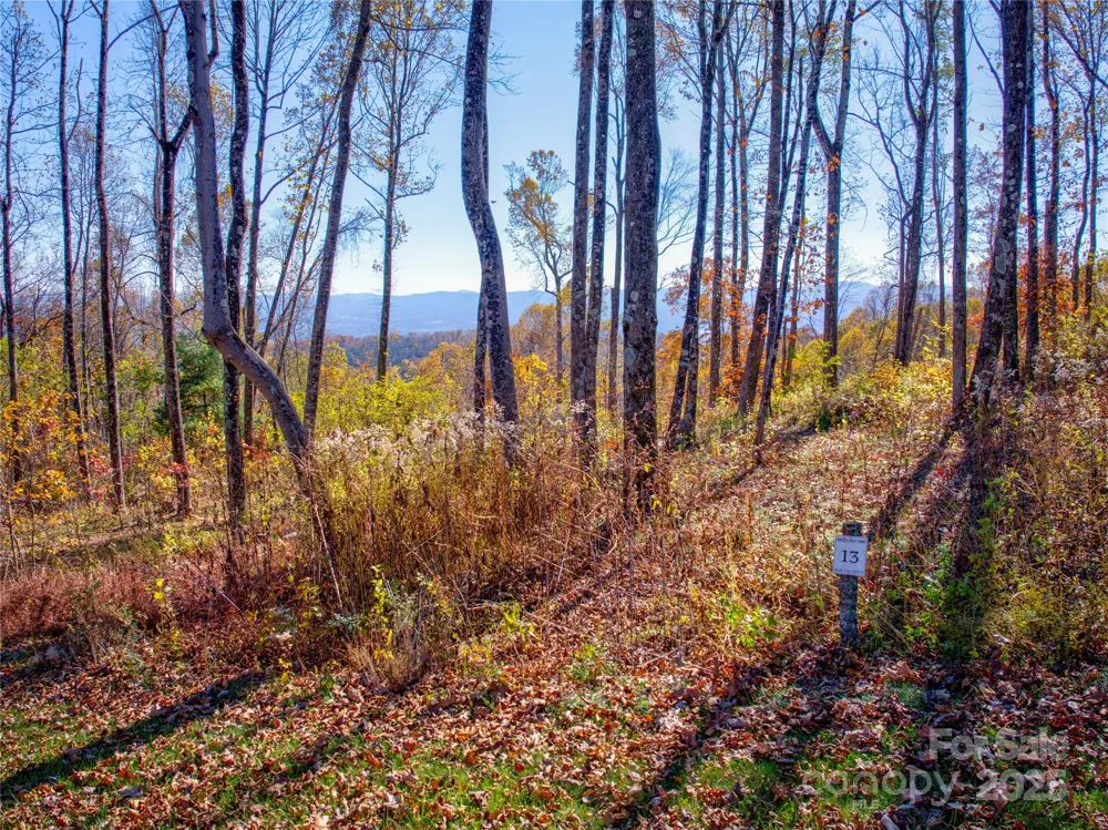 7 Laurel Ledge Way #13 Fletcher, NC 28732