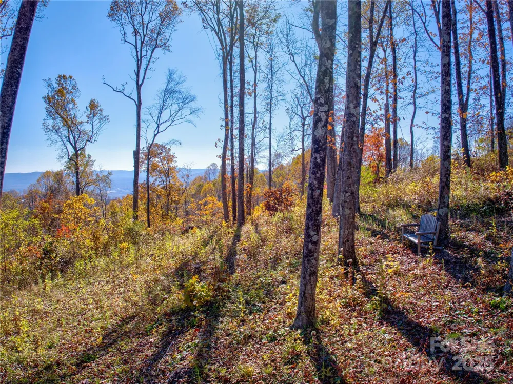 7 Laurel Ledge Way #13 Fletcher, NC 28732