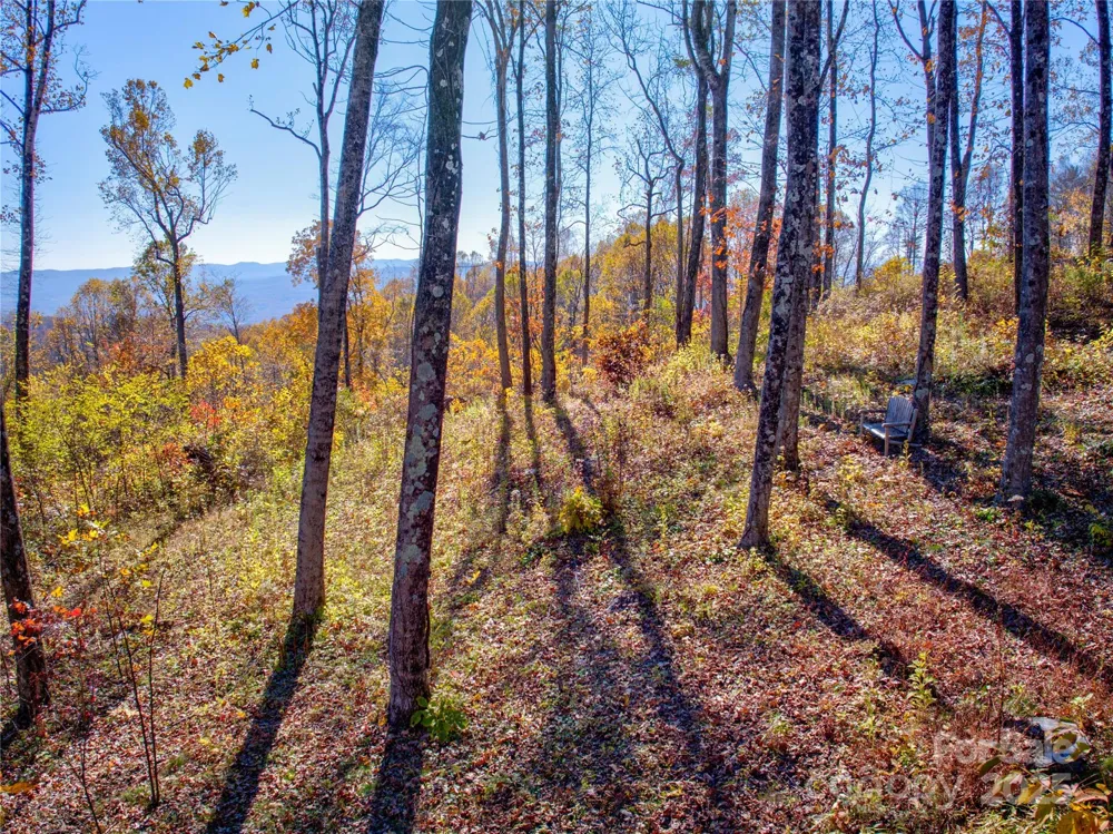 7 Laurel Ledge Way #13 Fletcher, NC 28732