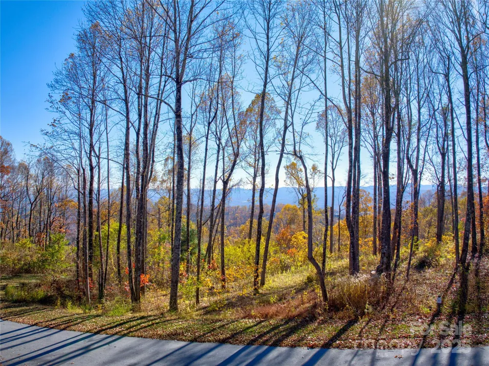 7 Laurel Ledge Way #13 Fletcher, NC 28732