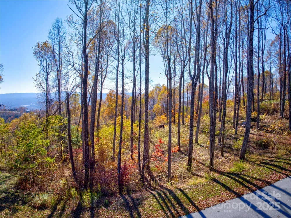7 Laurel Ledge Way #13 Fletcher, NC 28732