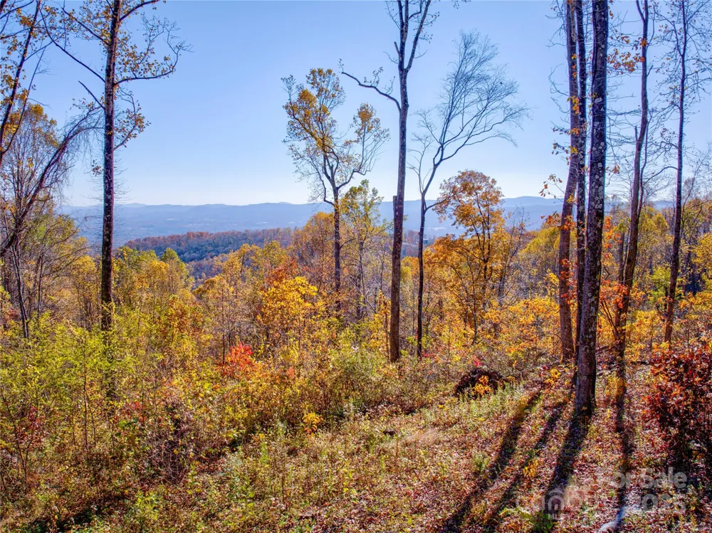 7 Laurel Ledge Way #13 Fletcher, NC 28732