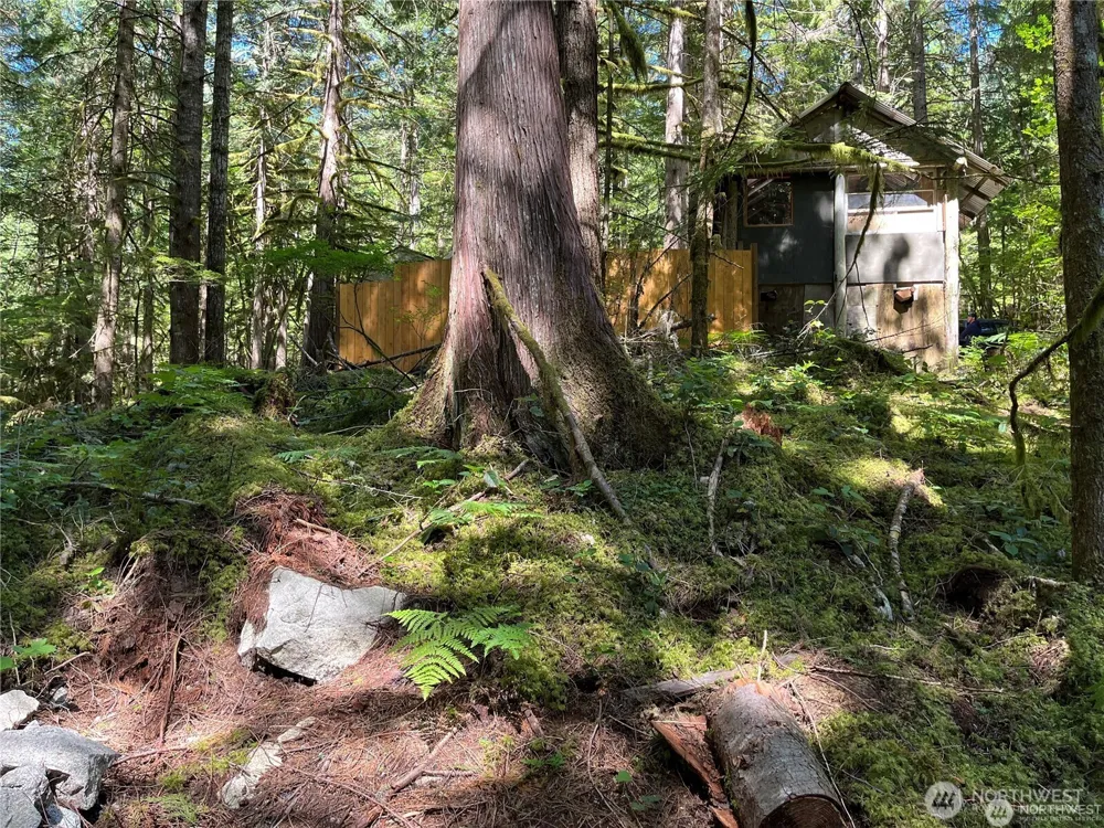 64308 Cascade River Road #1-147 Marblemount, WA 98267