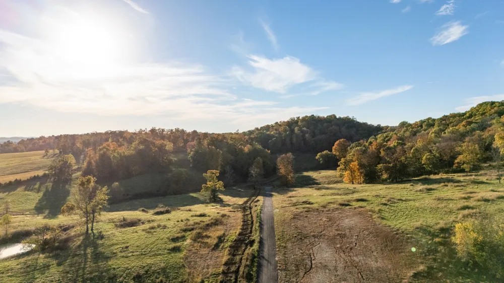 345 Brazier Ln Gallatin, TN 37066