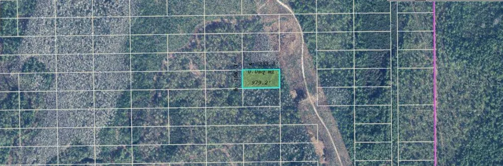 DILL ROAD Orlando, FL 32820